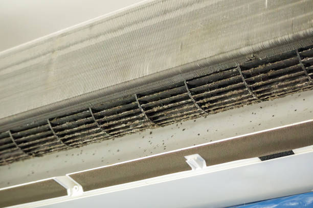 Best Professional Duct Cleaning Services  in Post Falls, ID